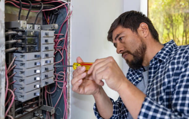 Best Electrical Repair Services  in Citronelle, AL